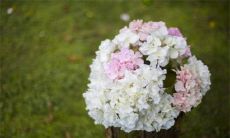 2023年1月1日元旦可以领证吗 此日是登记好日子吗