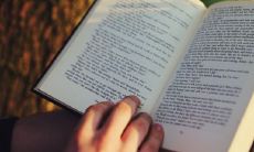 2023属羊人的全年运势详解 属羊人需要提防灾