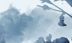 2023年属什么生肖羊 能力不足还需努力