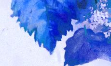 生肖牛2023年健康运 平时要保持一个好的生活习惯