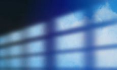 兔生肖2023年运势 少年时期运势不错