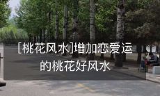 [桃花风水]增加恋爱运的桃花好风水