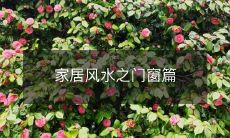 家居风水之门窗篇