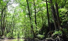 客厅风水的禁忌有哪些 一定不要犯