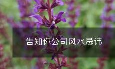 告知你公司风水忌讳