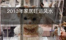 2013年家居旺运风水