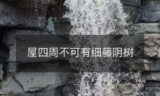 屋四周不可有细藤阴树