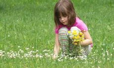 仙人掌摆放风水禁忌 有哪些注意事项