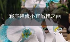 寝室装修不宜吊挂之画