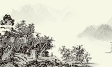 2023年学业好生肖 生肖猴的学业运势分析