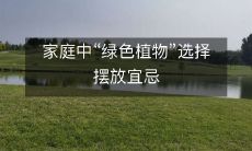 家庭中“绿色植物”选择摆放宜忌