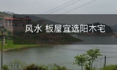 风水 板屋宜选阳木宅