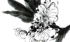 生肖蛇2023年财运 需付出努力才能有发财的机遇