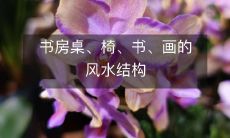书房桌、椅、书、画的风水结构