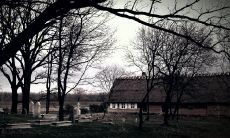 87属兔的一生财运 工资方面表现非常一般