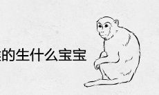 两个92年属猴的生什么宝宝