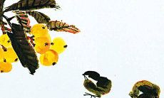 2022虎年上半年建房动土吉日 动土吉日优选