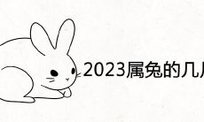 2023年属兔的几月出生最好