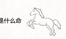 2022年属马是什么命