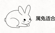 属兔适合什么时辰出生最聪明