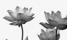 2022寅虎年夏季动土吉利日期 动土大吉日子