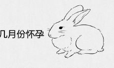 生2023年兔几月份怀孕合适
