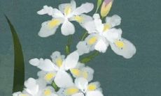 2022年夏季适合动土的吉利时间 动土黄道吉日