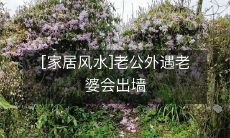 [家居风水]老公外遇老婆会出墙