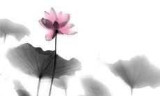 黄历查询:2022虎年上半年什么时候建房动土比较好