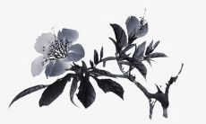 黄道吉日:2022虎年下半年什么时候动土开工最吉利