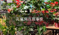 儿童房注意事变