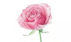 2022虎年夏宜动土的大吉之日 动土好时机