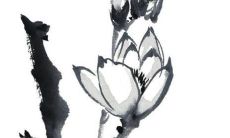 2022寅虎年下半年什么时候可以动土 动土吉利日子