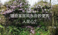 哪些家居风水会致使男人花心?