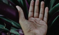 2023年易添丁生肖 生肖狗要宝宝一定能成功