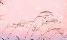 各味俱全的四川小吃文化