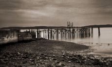 2023年各生肖运势及运程 生肖鼠异性缘好