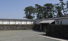 2024年几月生男孩几率高 2024年生龙宝宝清宫图正版图