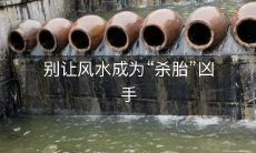 别让风水成为“杀胎”凶手