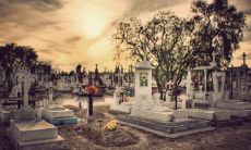 2022年时来运转的六大生肖 属牛人有好运加持