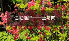 住宅选择——坐与向