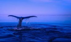 为什么腊月搬家会倒霉