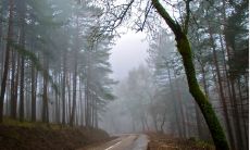 2023年适合什么生肖 2023年几月出生命最好