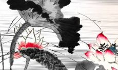 2023本命年戴什么 本命年兔可以戴黄金吗