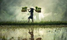 进门口摆放什么风水饰品好