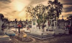 2023年属什么生肖 属兔的最配属相