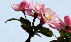 2023年有姻缘的人 生活无忧和谐幸福