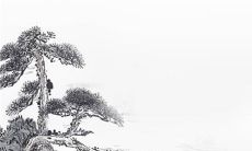 2023年犯太岁最严重生肖 减少开支保持冷静