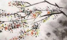 97年属牛男一生命运如何 努力奋斗无忧无虑