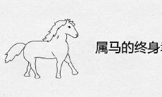 属马的终身幸运颜色